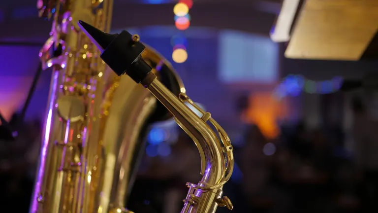 Día del Jazz 2025: artistas actuales y destacados en Colombia 