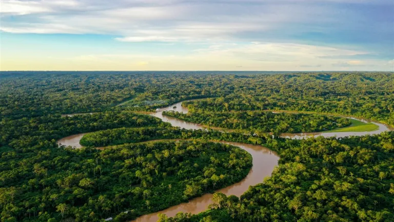 Gobierno destaca 16% menos deforestación en la Amazonía
