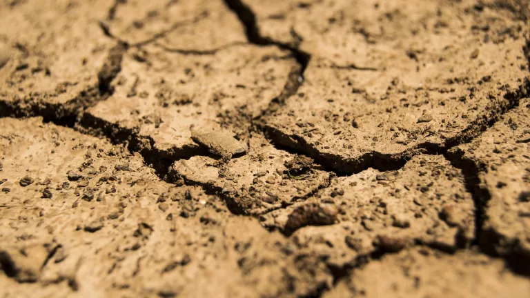 Las sequías la nueva normalidad climática, advierte la ONU