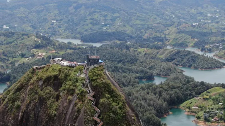 Deforestación en Antioquia: cifras y llamados de las autoridades