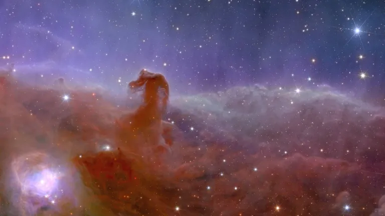 Primeras imágenes telescopio espacial Euclid | Ciencia 