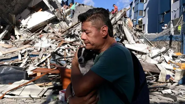 Ante un sismo, ¿cómo proteger a tus mascotas? Esto es lo que debes tener en cuenta