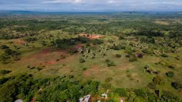 Campesinos desplazados por el conflicto en Catatumbo recibirán tierras