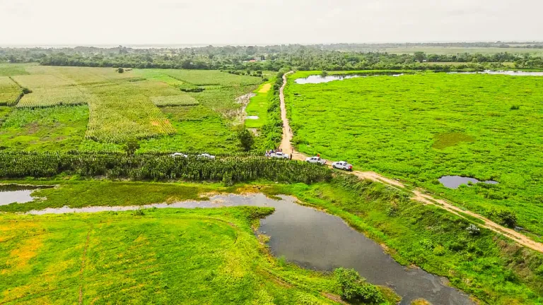 Ciénaga Grande del bajo Sinú, Córdoba