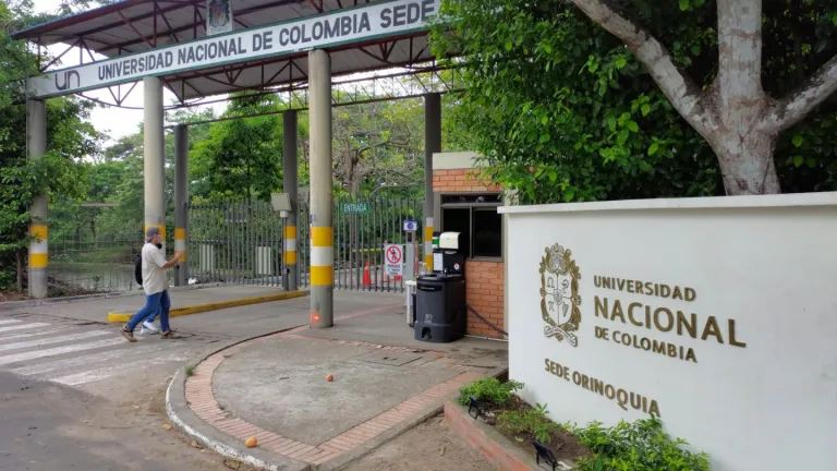 Conoce la oferta académica de la Universidad Nacional en el departamento de Arauca 