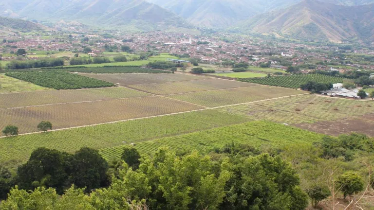 Carnaval de la uva y el vino 2022: Fecha, lugar y programación 