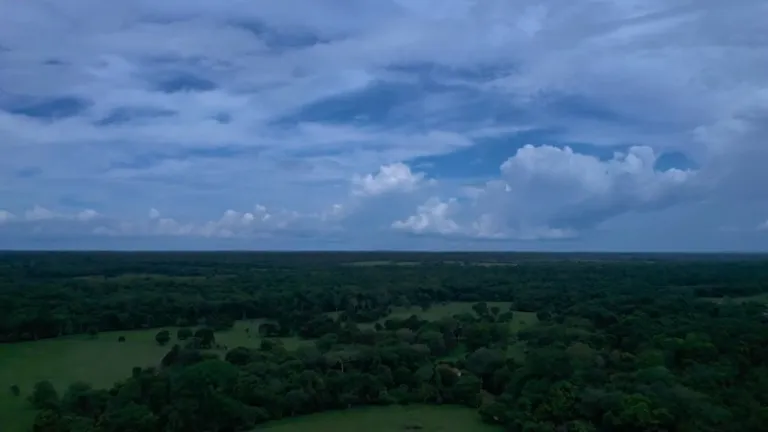 Reforestación en Amazonas: acuerdos con campesinos en Guaviare