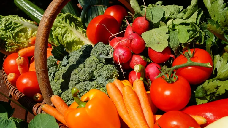 Aumentó abastecimiento de alimentos en Colombia | 2023
