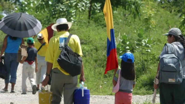Crisis humanitaria en Nariño por desplazamientos 2024