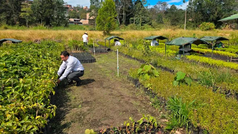 Comunidad de La Vega se moviliza en restaurar vivero