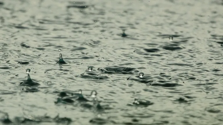 Temporada de lluvias 