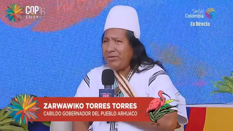 Entrevista a Zarwawico Torres, líder indígena en el Calentao
