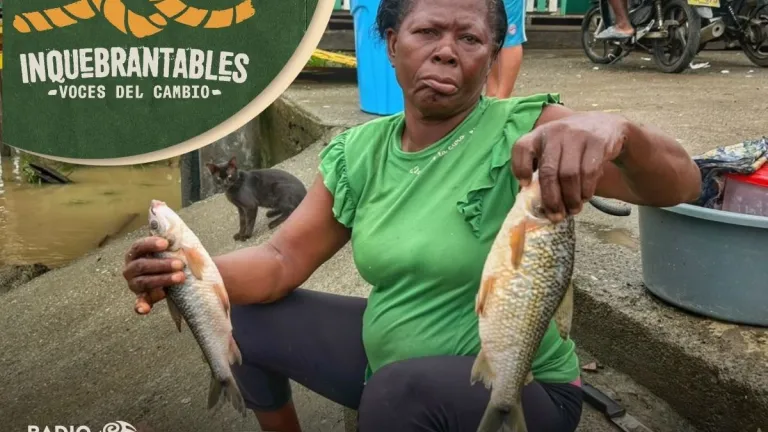 Inquebrantables - Entre escamas y esperanza: las arregladoras de pescado a orillas del Río Atrato