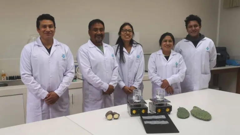 Con papas y nopal, logran remover metales pesados en el agua