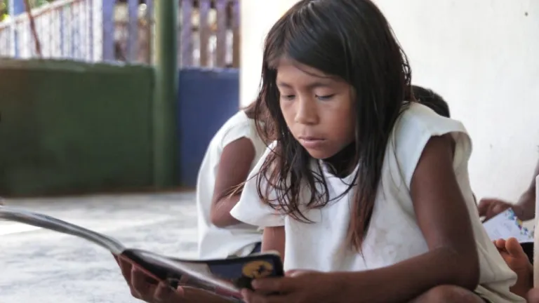 Literatura colombiana en lenguas indígenas