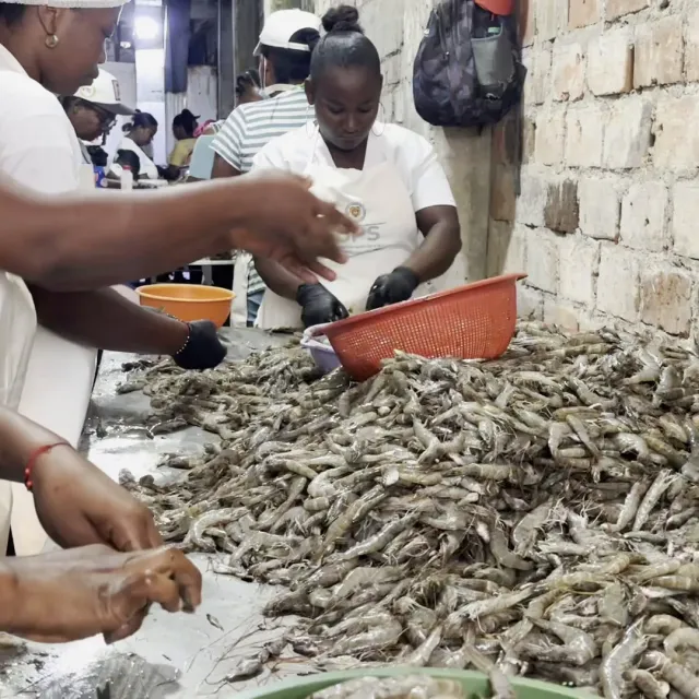 Asomefama emprendimiento Tumaco 