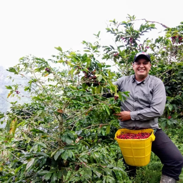 Café colombiano Abuela Bárbara: emprendimiento en Tolima 