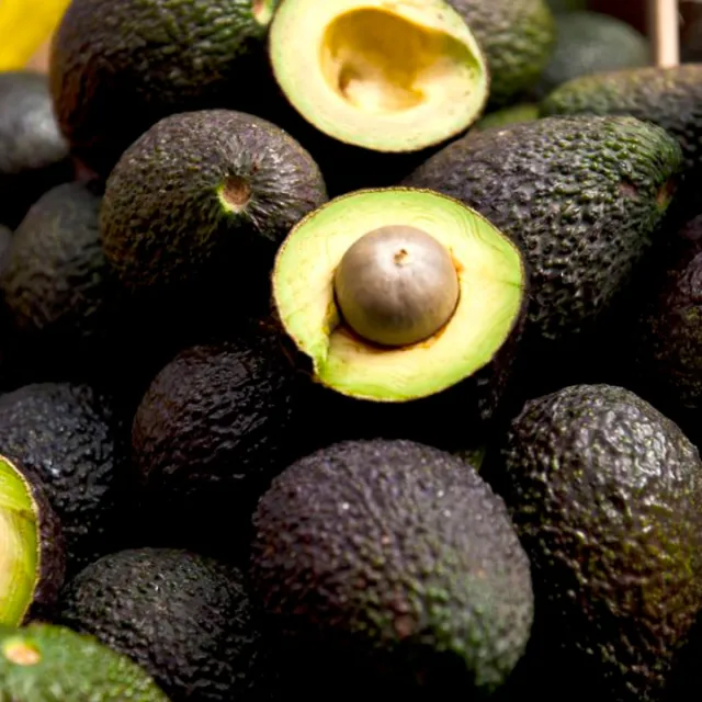 Cultivo de aguacate Hass en Colombia, que supera las 39.000 hectáreas registradas en 2026
