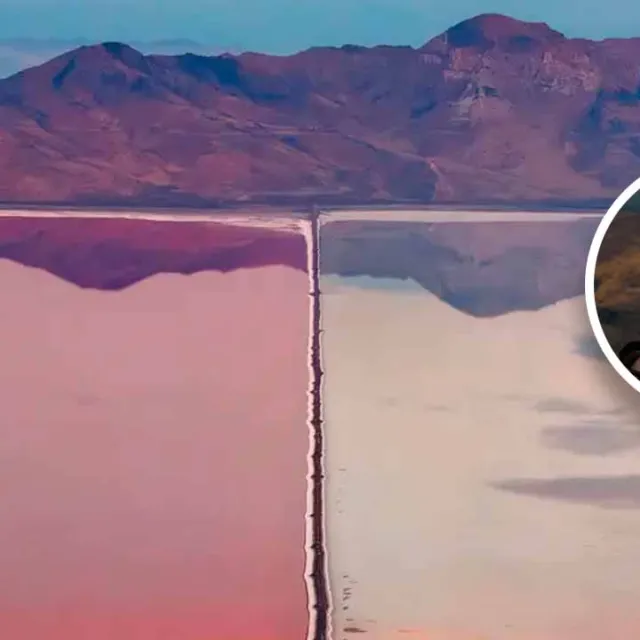 Alex Visbal, fotógrafo colombiano ganador del Wildlife Photographer of the Year 2026 con su obra The Great Divide, sobre el Gran Lago Salado.