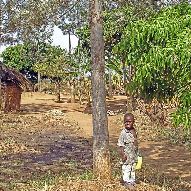fotografía de hogar en una aldea de la zona tropical