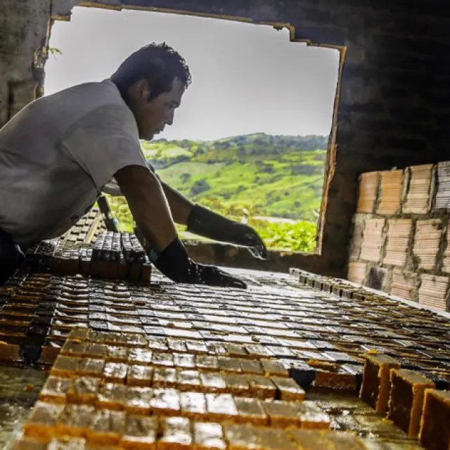 Panela para las heridas