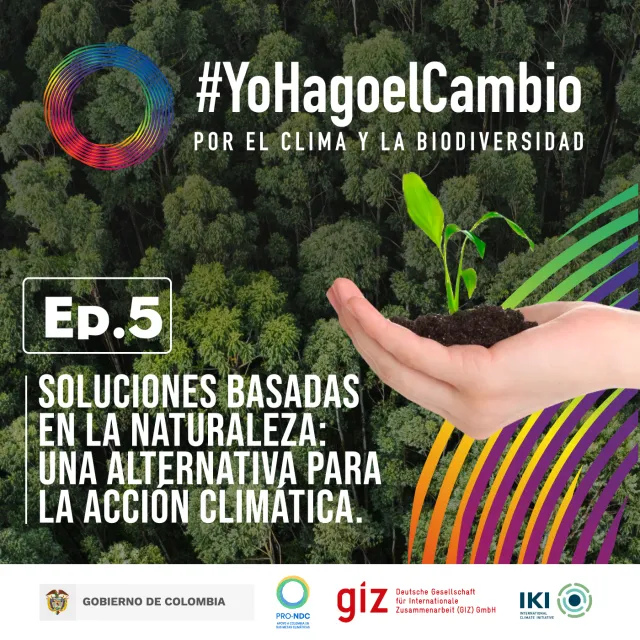 Soluciones Basadas en la Naturaleza