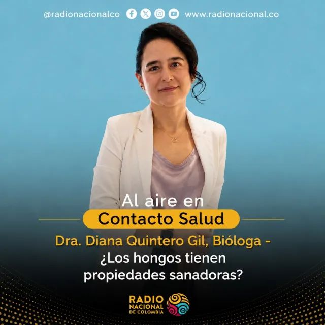 ¿Los hongos tienen propiedades sanadoras?