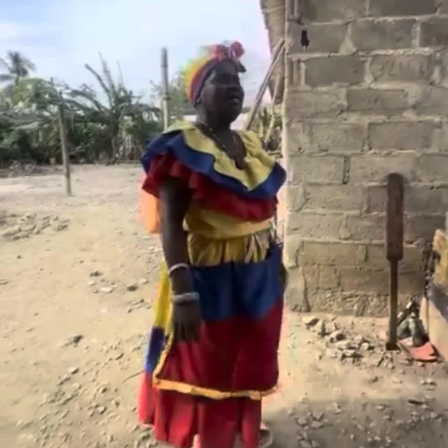 Culebra boba