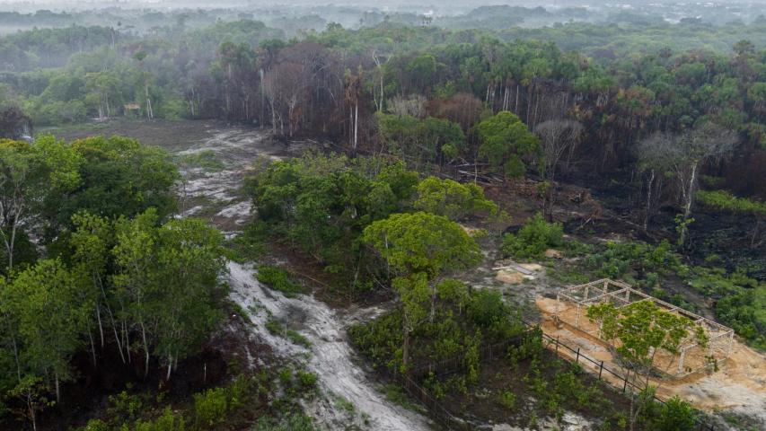 La Amazonía se acerca a un punto de no retorno: causas, consecuencias y amenazas ambientales