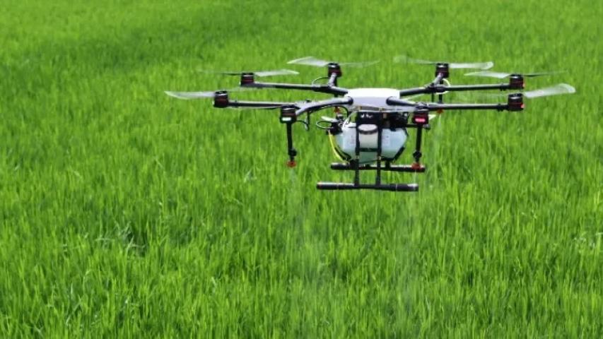 Gobierno autoriza erradicación con drones cultivos ilícitos