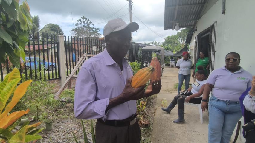 Cacao por la vida comunidades cambian cultivos de uso ilícito por esperanza en el Pacífico
