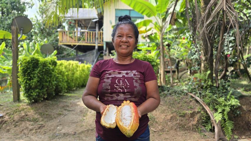 Cadena de frutos amazónicos y productos forestales 