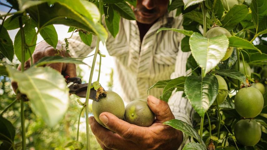 Gobierno Nacional reduce en un tercio el déficit comercial de Colombia con productos agrícolas