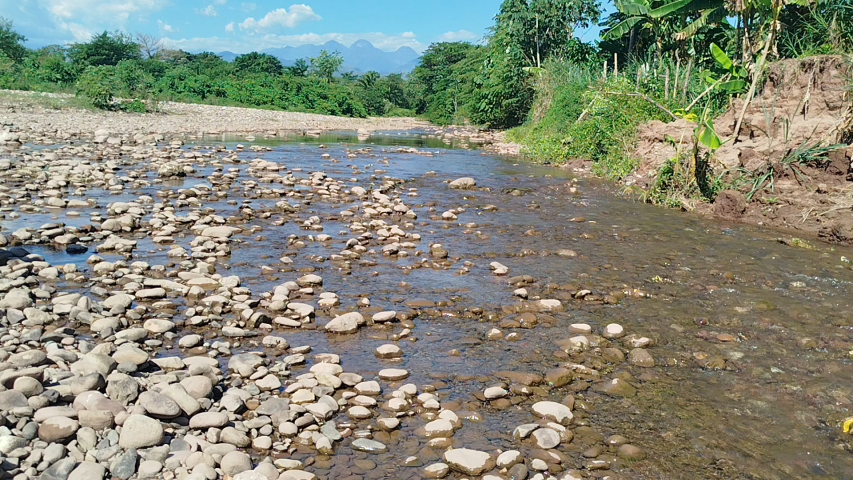 Contaminación del agua Colombia: ríos del Cesar en riesgo por deforestación y minería