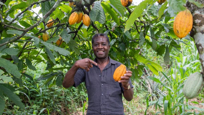 Créditos agropecuarios en 2025: Colombia habilitó 25.370 millones