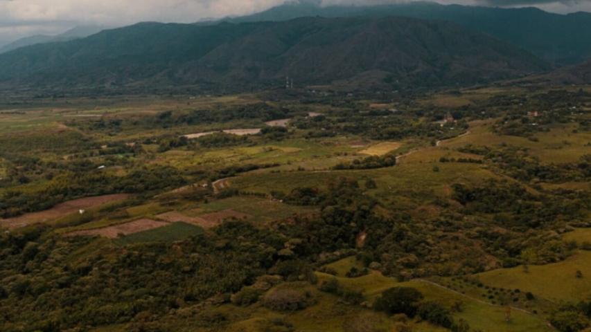 Experta advierte trabas a propuesta de la Corte Suprema sobre tierras