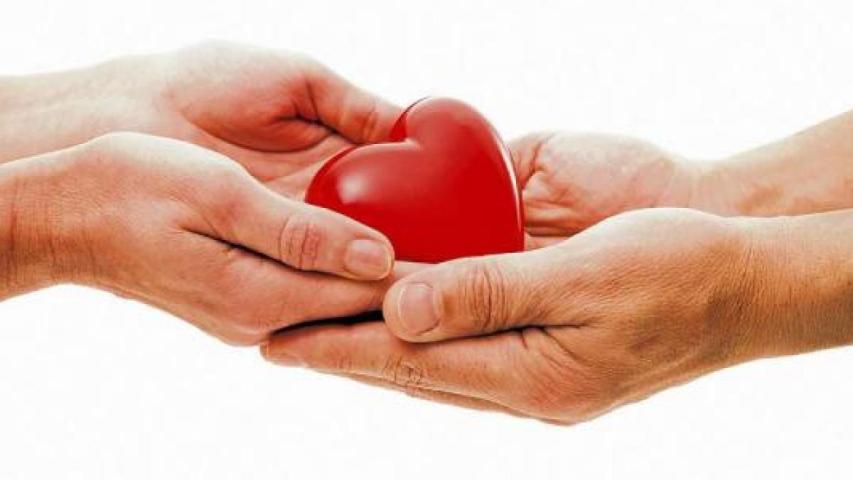 Proyecto donación de órganos: 55 Vidas