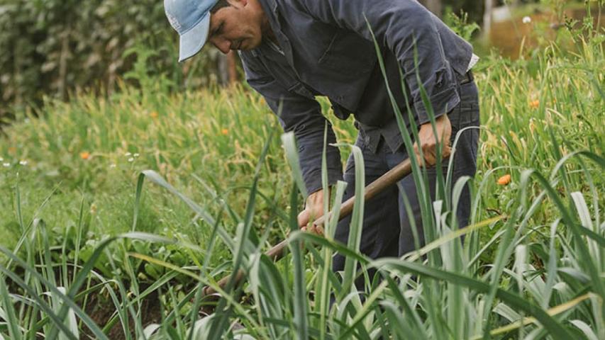 Firmantes de paz exigen al Congreso aprobar el proyecto de ley ordinaria de la Jurisdicción Agraria