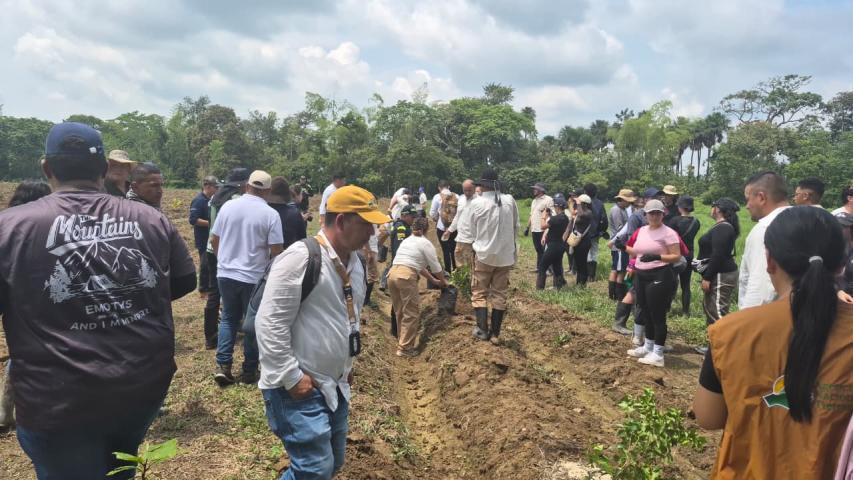 Firmantes de paz impulsan proyectos ambientales en el Meta