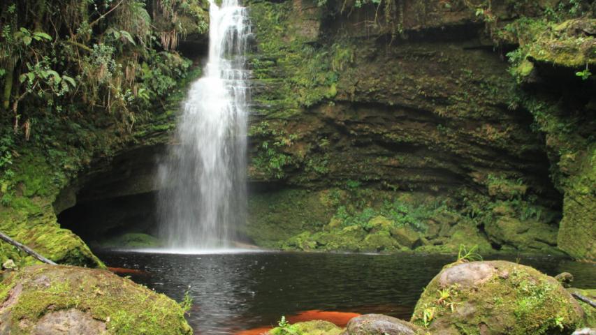 Día de los Parques Nacionales de Colombia 2025 