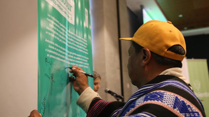 GEF BioSur: Detalles del proyecto