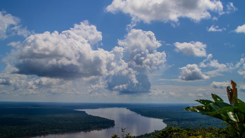Gobierno crea la Primera Concesión Forestal Campesina de Colombia en la Amazonía