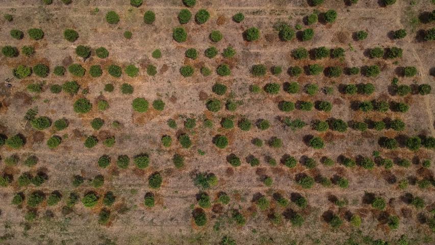Ideam alerta por posible fenómeno de El Niño en Colombia