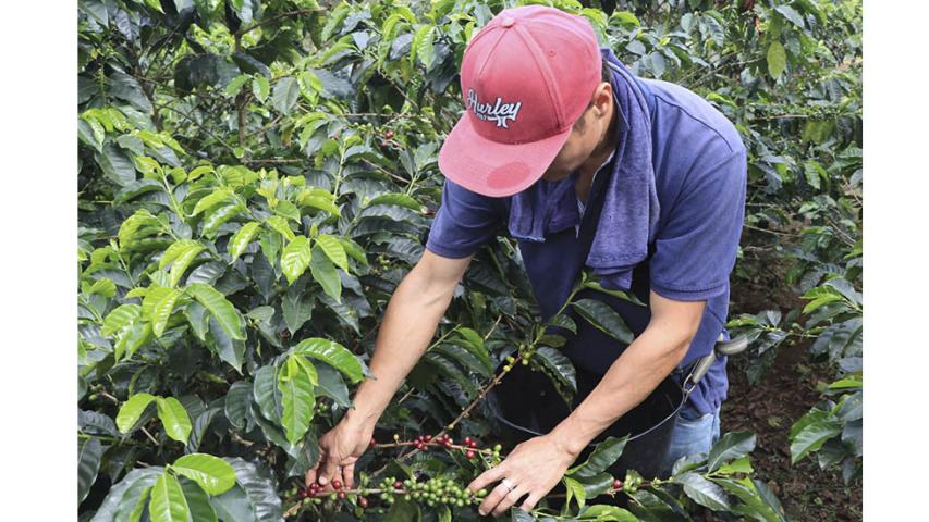  Ministerio de Agricultura y Desarrollo Rural 