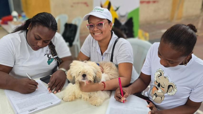 Nariño pondrá en marcha ruta integral para atender el maltrato animal y reducir la impunidad