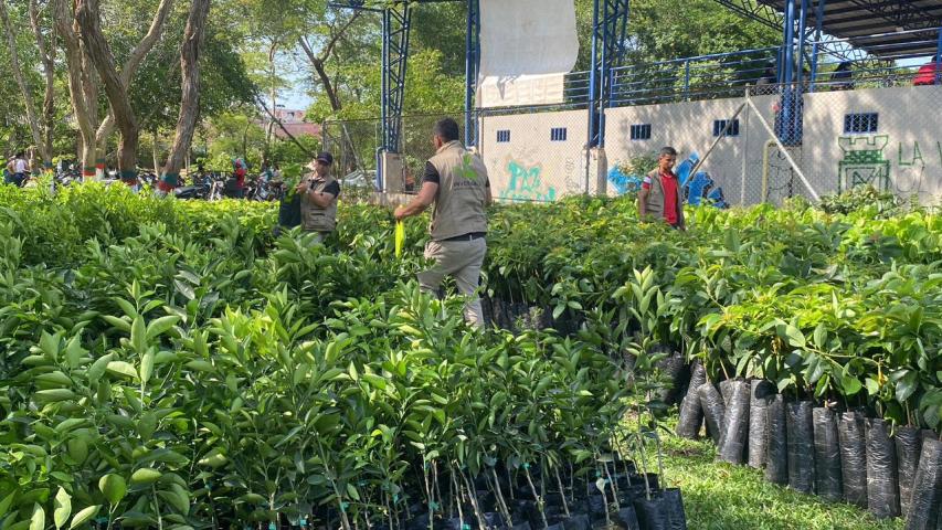 Programa de Sustitución de Cultivos Ilícitos Caquetá