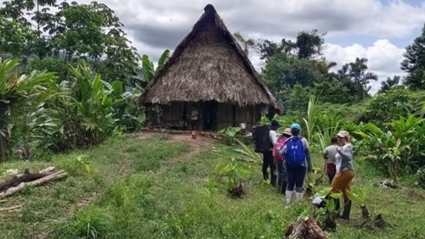Gobierno nacional pedirá perdón a pueblo U’wa 