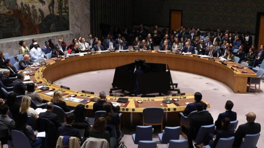 Rusia, China, Emiratos Árabes Unidos y Argelia alertan plan ONU para Gaza