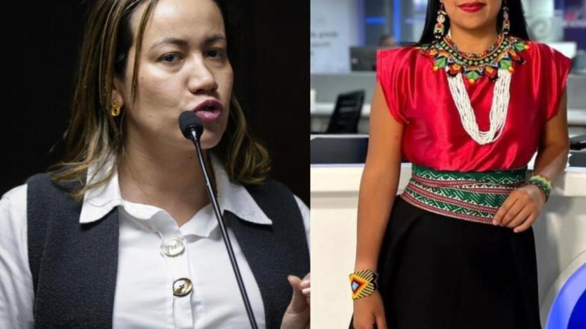 Sandra Chindoy y Carolina Corcho tutela contra el CNE