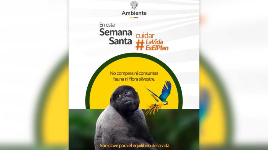 Semana Santa: refuerzan controles por tráfico ilegal de fauna y flora